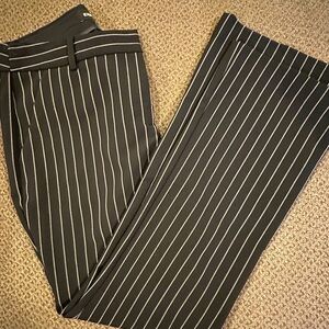 Express Editor Pants